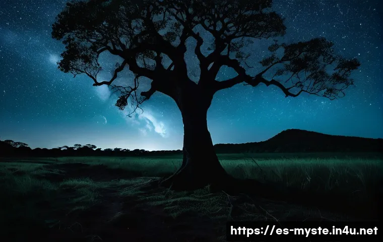 파라과이 골드 러시 실종 관련 이미지 2